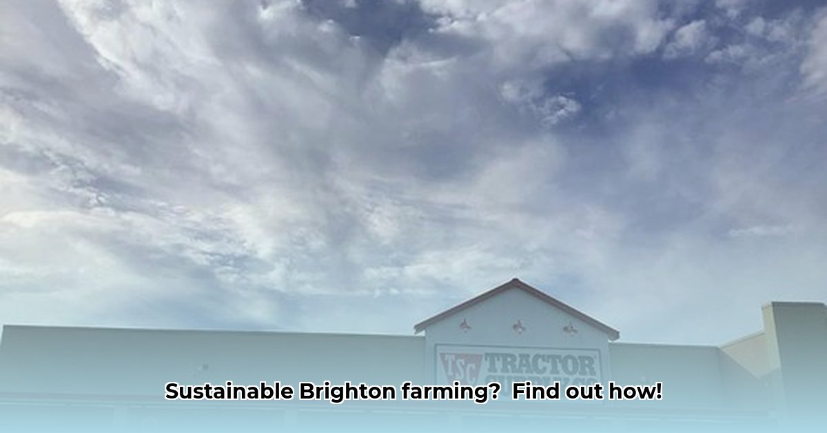 tractor-supply-brighton